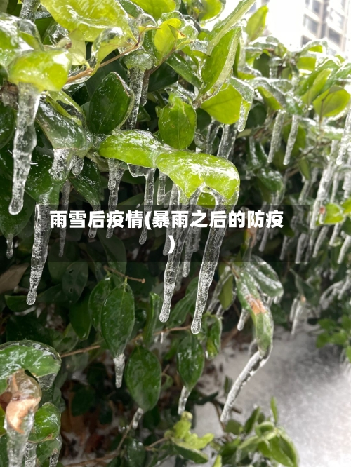 雨雪后疫情(暴雨之后的防疫)-第2张图片