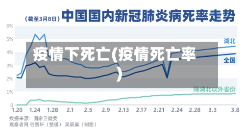 疫情下死亡(疫情死亡率)-第1张图片
