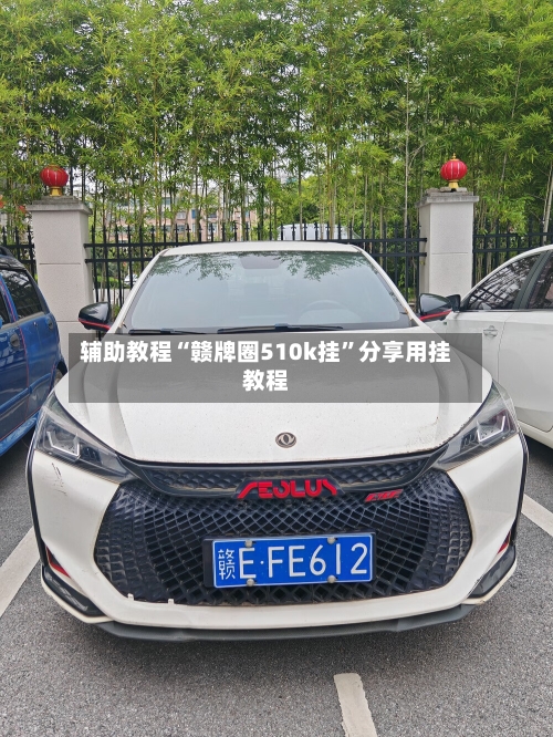 辅助教程“赣牌圈510k挂”分享用挂教程-第1张图片