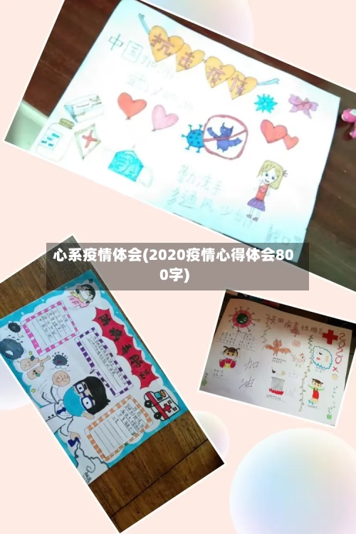 心系疫情体会(2020疫情心得体会800字)