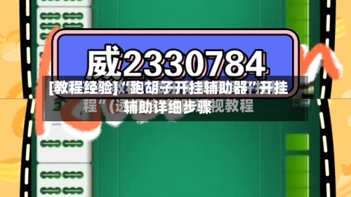 [教程经验]“跑胡子开挂辅助器	”开挂辅助详细步骤-第1张图片