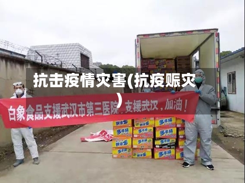 抗击疫情灾害(抗疫赈灾)