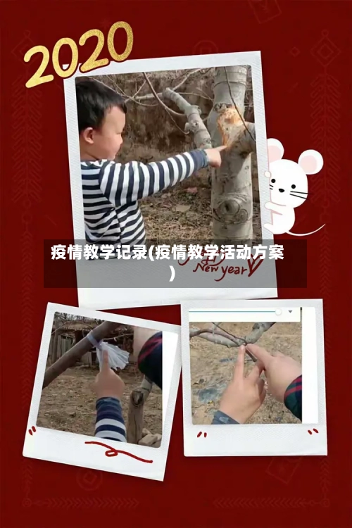 疫情教学记录(疫情教学活动方案)