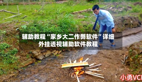 辅助教程“家乡大二作弊软件”详细外挂透视辅助软件教程