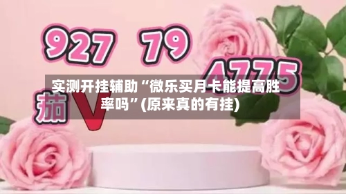 实测开挂辅助“微乐买月卡能提高胜率吗”(原来真的有挂)-第2张图片