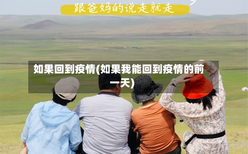 如果回到疫情(如果我能回到疫情的前一天)