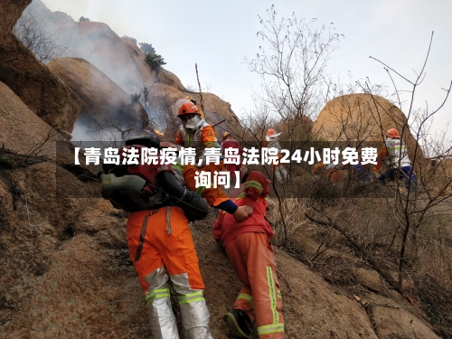 【青岛法院疫情,青岛法院24小时免费询问】