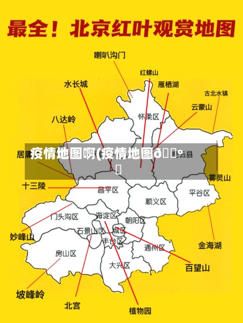 疫情地图啊(疫情地图🗺️)