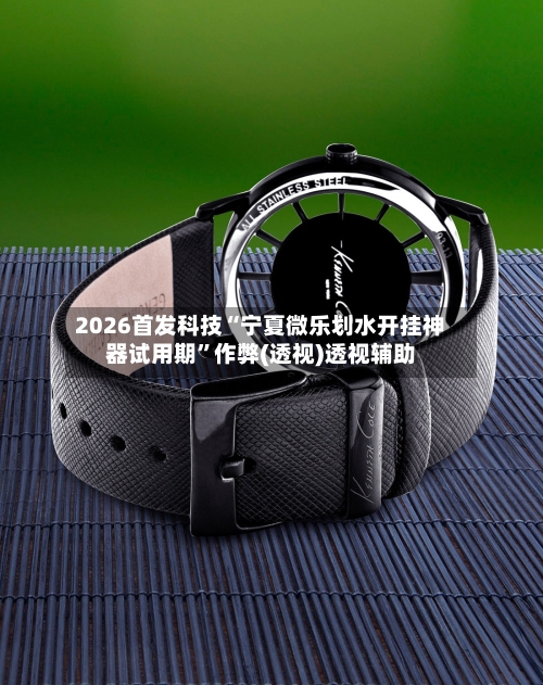 2026首发科技“宁夏微乐划水开挂神器试用期”作弊(透视)透视辅助-第3张图片