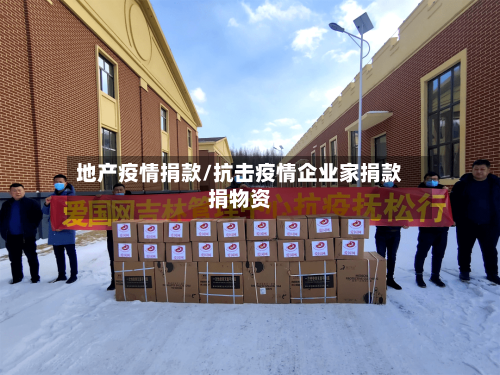 地产疫情捐款/抗击疫情企业家捐款捐物资