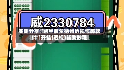 实测分享“智星菠萝德州透视作弊软件”开挂(透视)辅助教程-第3张图片
