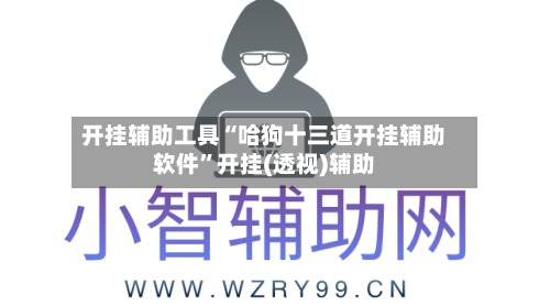开挂辅助工具“哈狗十三道开挂辅助软件”开挂(透视)辅助-第2张图片