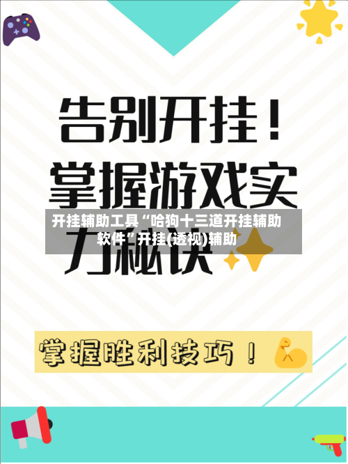 开挂辅助工具“哈狗十三道开挂辅助软件	”开挂(透视)辅助-第3张图片
