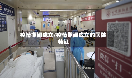 疫情期间成立/疫情期间成立的医院特征