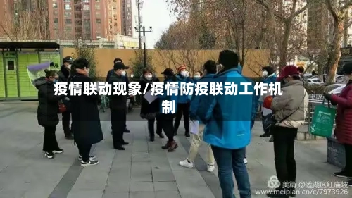 疫情联动现象/疫情防疫联动工作机制-第3张图片