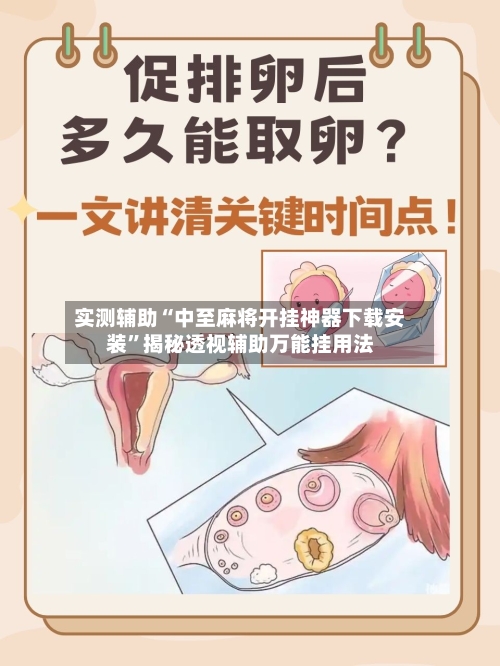 实测辅助“中至麻将开挂神器下载安装”揭秘透视辅助万能挂用法-第3张图片