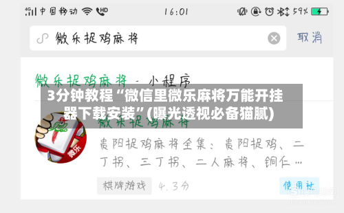 3分钟教程“微信里微乐麻将万能开挂器下载安装”(曝光透视必备猫腻)-第2张图片