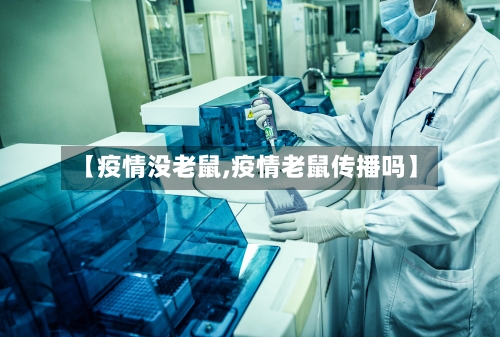 【疫情没老鼠,疫情老鼠传播吗】-第2张图片