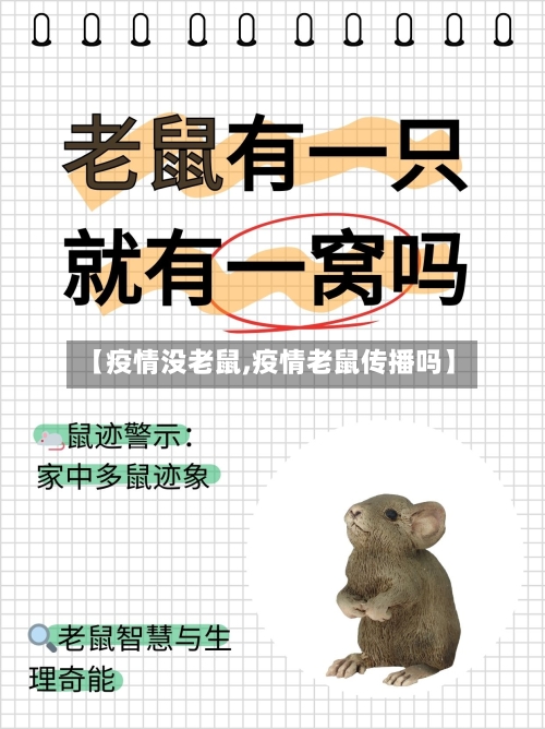 【疫情没老鼠,疫情老鼠传播吗】-第3张图片
