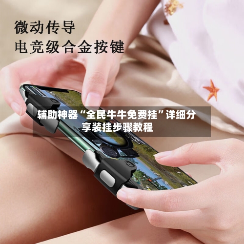 辅助神器“全民牛牛免费挂”详细分享装挂步骤教程-第2张图片