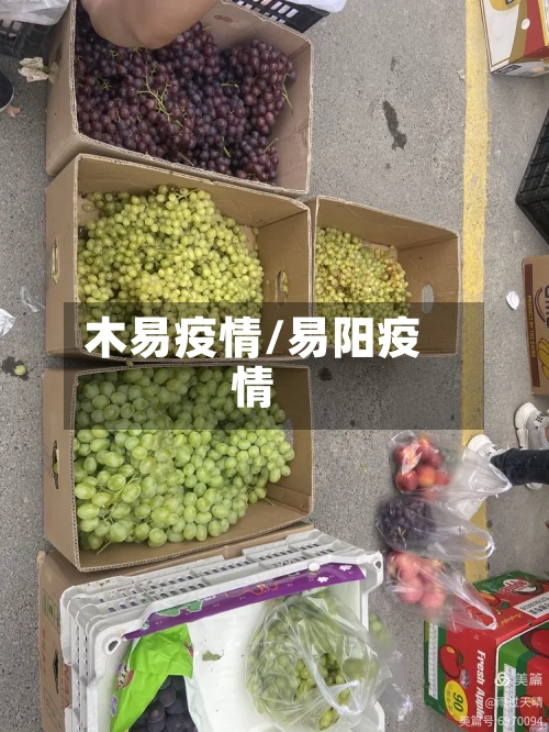 木易疫情/易阳疫情-第2张图片