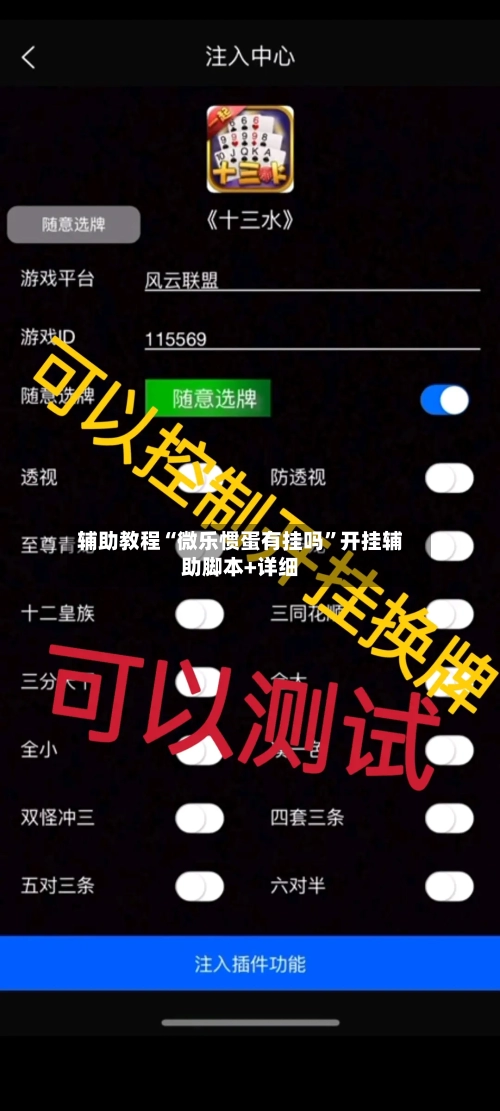 辅助教程“微乐惯蛋有挂吗	”开挂辅助脚本+详细-第2张图片