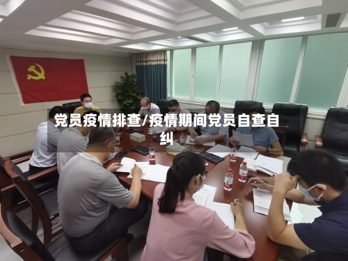 党员疫情排查/疫情期间党员自查自纠