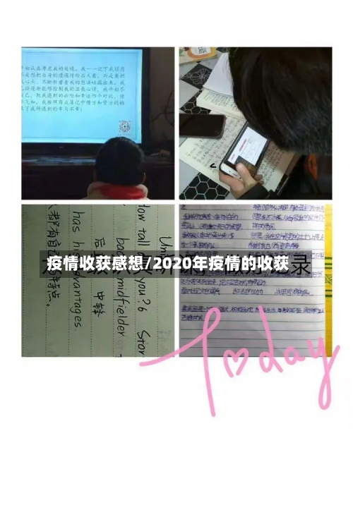疫情收获感想/2020年疫情的收获