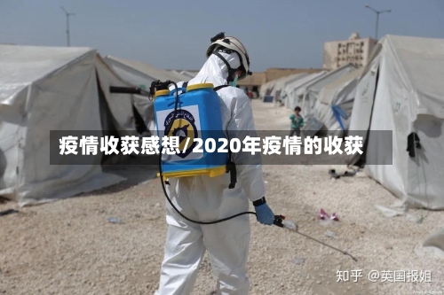 疫情收获感想/2020年疫情的收获-第2张图片