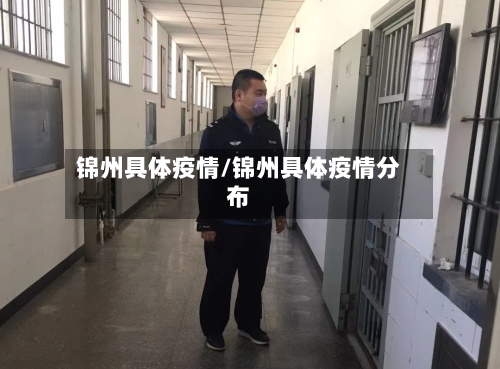 锦州具体疫情/锦州具体疫情分布