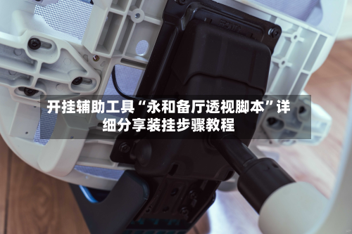 开挂辅助工具“永和备厅透视脚本”详细分享装挂步骤教程-第3张图片