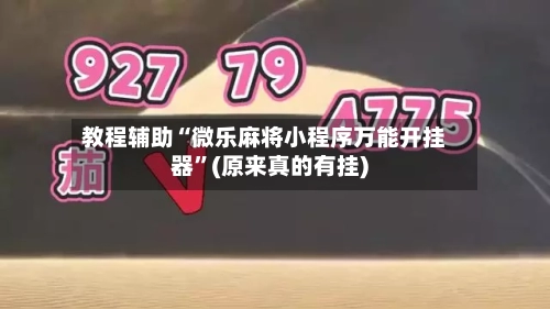 教程辅助“微乐麻将小程序万能开挂器”(原来真的有挂)-第2张图片