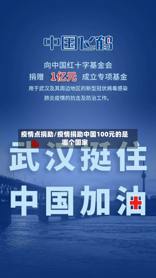 疫情点捐助/疫情捐助中国100元的是哪个国家-第1张图片