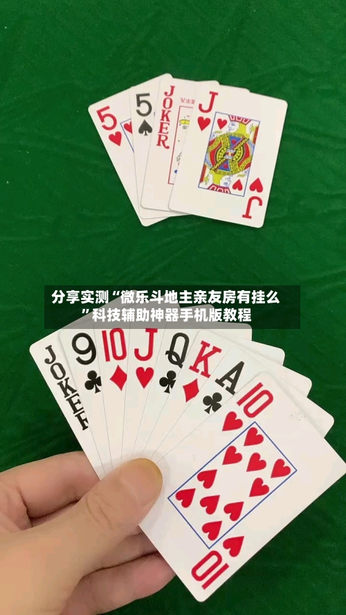 分享实测“微乐斗地主亲友房有挂么	”科技辅助神器手机版教程-第2张图片