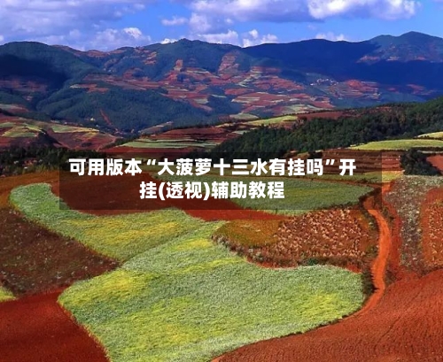 可用版本“大菠萝十三水有挂吗	”开挂(透视)辅助教程-第1张图片