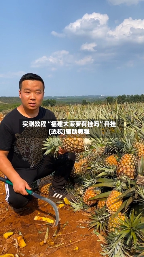 实测教程“福建大菠萝有挂吗	”开挂(透视)辅助教程-第2张图片