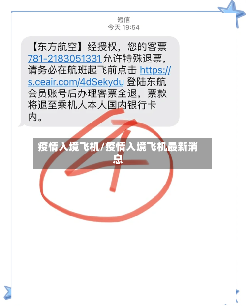 疫情入境飞机/疫情入境飞机最新消息-第2张图片
