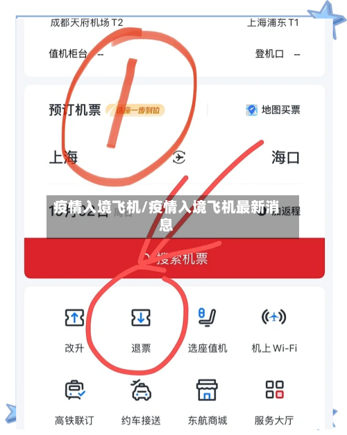 疫情入境飞机/疫情入境飞机最新消息