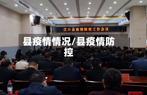 县疫情情况/县疫情防控-第3张图片