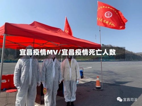 宜昌疫情MV/宜昌疫情死亡人数