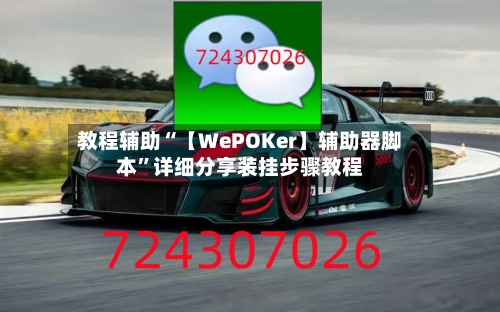 教程辅助“【WePOKer】辅助器脚本	”详细分享装挂步骤教程-第1张图片