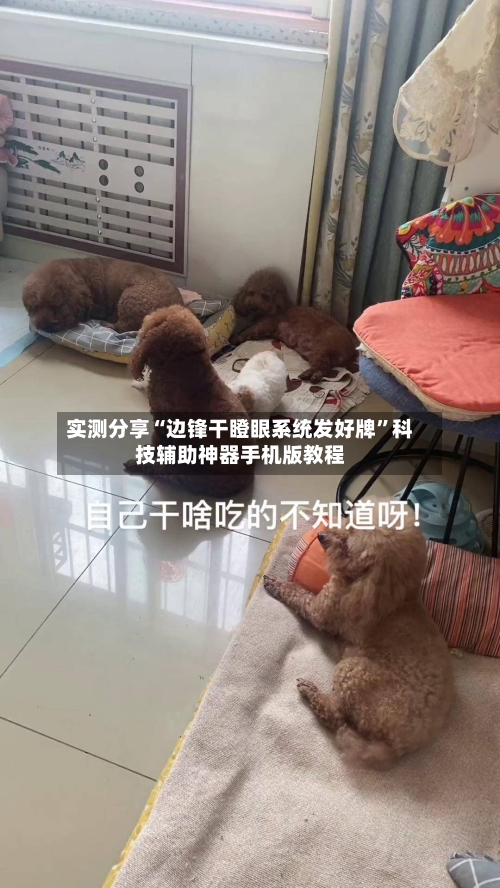 实测分享“边锋干瞪眼系统发好牌”科技辅助神器手机版教程-第1张图片