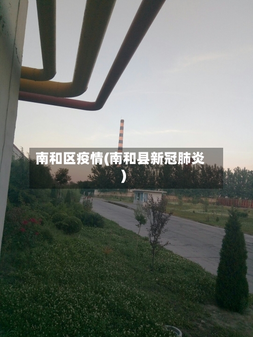 南和区疫情(南和县新冠肺炎)-第1张图片