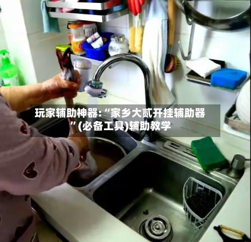 玩家辅助神器:“家乡大贰开挂辅助器	”(必备工具)辅助教学-第3张图片