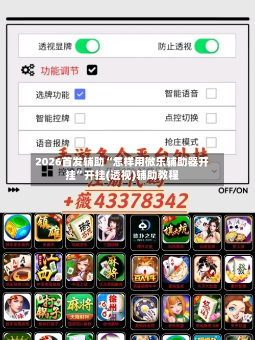 2026首发辅助“怎样用微乐辅助器开挂”开挂(透视)辅助教程-第2张图片