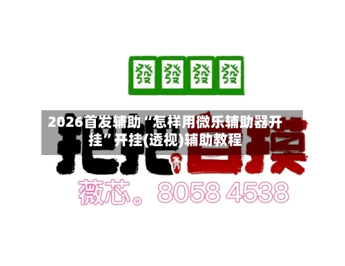 2026首发辅助“怎样用微乐辅助器开挂”开挂(透视)辅助教程-第1张图片