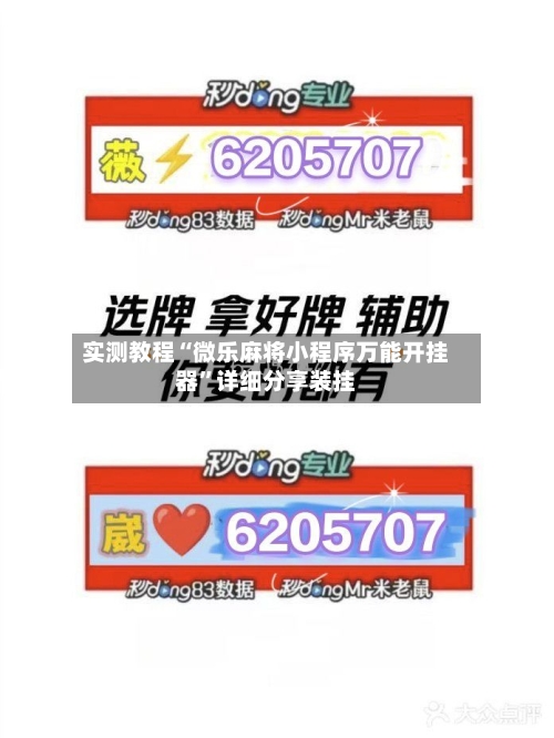 实测教程“微乐麻将小程序万能开挂器”详细分享装挂-第3张图片