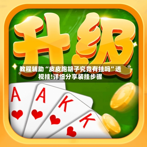 教程辅助“皮皮跑胡子究竟有挂吗”透视挂!详细分享装挂步骤-第1张图片