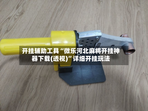 开挂辅助工具“微乐河北麻将开挂神器下载(透视)	”详细开挂玩法-第1张图片