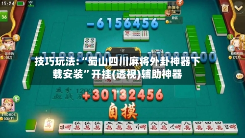 技巧玩法:“蜀山四川麻将外卦神器下载安装”开挂(透视)辅助神器-第2张图片